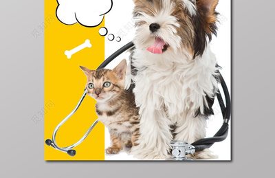 宠物医院宠物用品美容医疗卡通海报设计